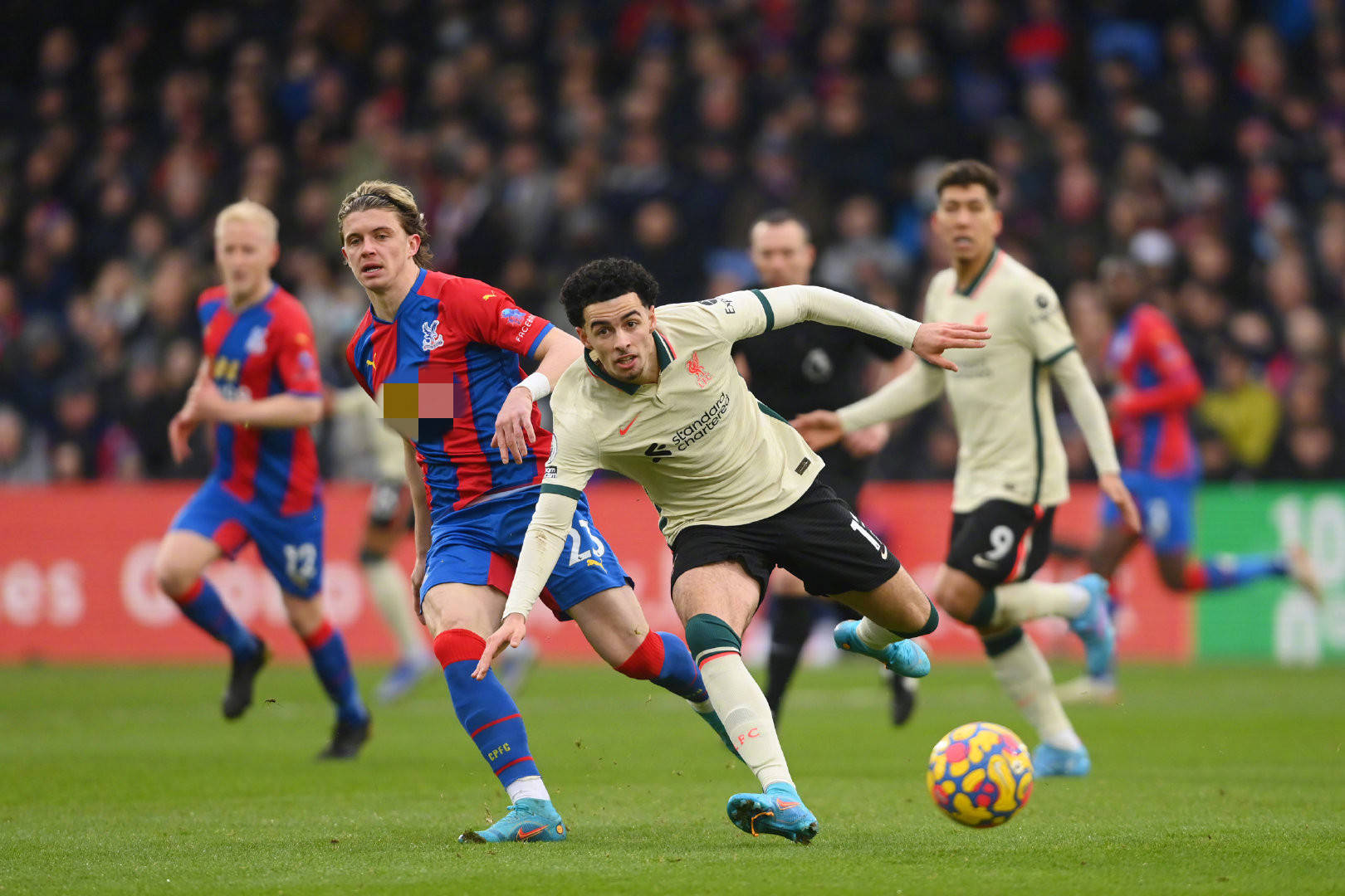 对于想要在 对于想要在